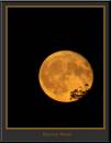 Harvestmoon230605-006_copy.jpg