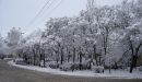 IMG_0038b.jpg