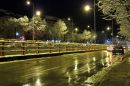 IMG_0078a.jpg