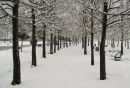 IMG_0147b.jpg