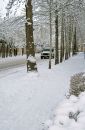 IMG_0204A495.jpg