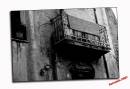 IMG_0219-01BW.jpg