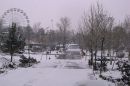 IMG_0222A495.jpg