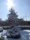 IMG_0379.JPG