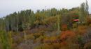 IMG_07581.jpg