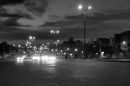 IMG_1631a.jpg