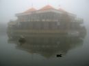 IMG_20191227_201238.jpg