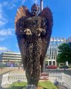IMG_2024-06-23-112924.jpeg