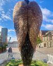 IMG_2024-06-23-112945.jpeg