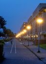 IMG_2659a.jpg