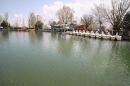 IMG_3194a.jpg