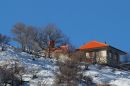 IMG_4428a.jpg