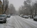 IMG_5303a.jpg