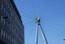 IMG_5338djpg.jpg