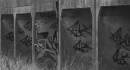 IMG_5981_CROPPED_GRAYSCALE_RESIZED.jpg