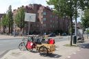 IMG_6984a.jpg