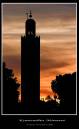 IMG_7462-02.jpg