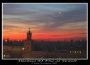 IMG_7491-01.jpg