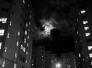 IMG_8791b1.jpg