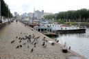IMG_9612Rotterdam.jpg