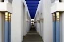 JRH0863_DxO_raw_nsadj_ps_A_.jpg