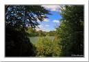 Lake-View.jpg