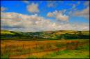 Landscape1.jpg