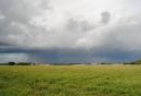 MELBOURNE_AIR_FIELD_3.jpg
