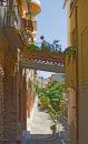 MG_9575.jpg