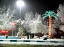 Midnight_in_Winter.jpg