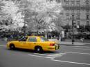 NY_Cab.jpg