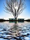 Newham_Council_-_Building_1000.jpg