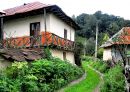 Old_rural_house.jpg