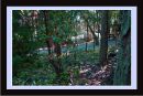 Picture_057_J_C_001.jpg