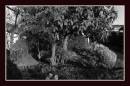 Picture_061_GREY_COLOR_TO_SUN_B.jpg