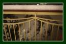 Picture_107_PROGRAM_EV_0_ISO_MANUAL_100_NARROWEST_METER_AND_FOCUS_HOUSELIGHT_C.jpg