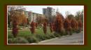 Picture_138_C4.jpg