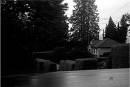 Rainy_Day_1_b_w.jpg