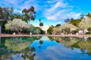 Reflections_on_the_Prado_ARC_1392_web1000.jpg
