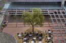 SD_Library_Patio_ARC_2588_web1000.jpg