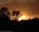 SUNSET_1.jpg