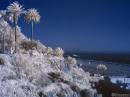 SantaMonica-in-IR.jpg