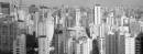 Sao_Paulo_15012011_T_Max_100009edit.jpg