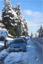 Snow2.jpg