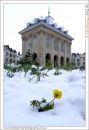 Snowy_Abingdon-1.jpg