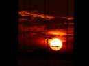 TAMAR_SUNSET_2.jpg