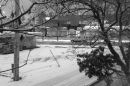Test_152_a_PROGRAM_ISO_-_100_MANUAL_GREY_CARD_EV_-_PLUS_0_7_E_B.jpg