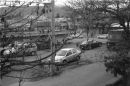 Test_204_a_PROGRAM_ISO_100_MANUAL_EV_-_MINUS_0_3_B.jpg