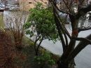 Test_238_b_TWILIGHT_ISO_125_AUTO_EV_-_O_C.jpg