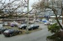 Test_243_b_ISO_MODE_ISO_125_AUTO_EV_-_O_C.jpg